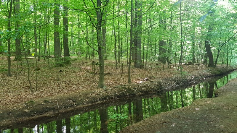 Walk-and-Talk-Coaching